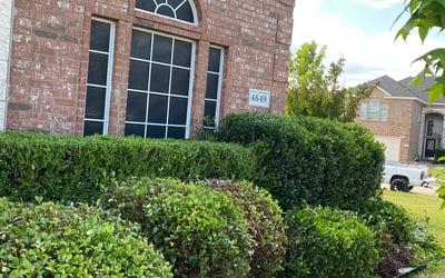 Photo of Joseph B.'s yard after getting landscaping in Tolar, TX