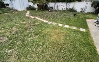 Photo of Monique A.'s yard after getting tree care in Santa Cruz, CA