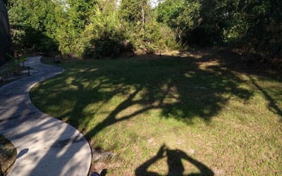 Photo of John H.'s yard after getting landscaping in Lake Monroe, FL