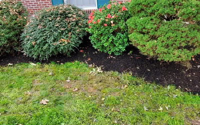 Photo of Christina W.'s yard after getting landscaping in Chester, SC