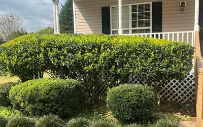 Photo of Kimberly B.'s yard after getting landscaping in Winder, GA