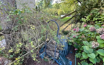 Photo of Karen M.'s yard after getting landscaping in Thurmont, MD