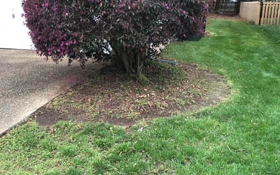 Photo of A. P.'s yard after getting landscaping in Yorktown, VA