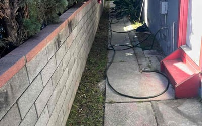Photo of Mina S.'s yard after getting landscaping in Canyon Country, CA