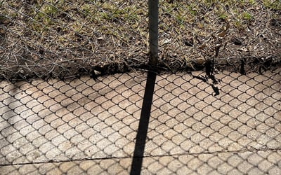 Photo of Erin S.'s yard after getting landscaping in Sunnyvale, TX