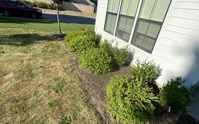 Photo of Mark K.'s yard after getting landscaping in Mc Cordsville, IN
