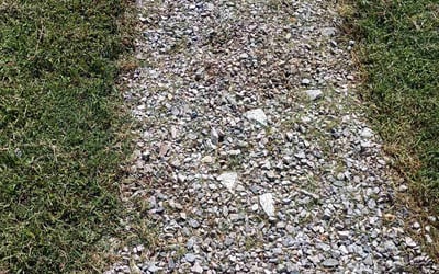 Photo of Kenneth H.'s yard after getting tree care in Monroe, GA