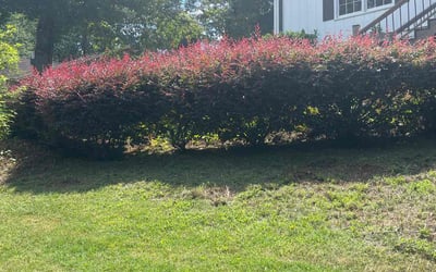 Photo of John M.'s yard after getting tree care in Union City, GA