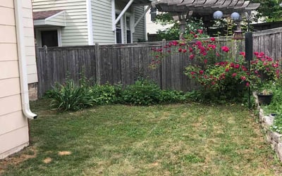 Photo of David R.'s yard after getting landscaping in Fredonia, WI
