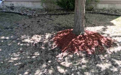 Photo of Eric L.'s yard after getting landscaping in Mc Farland, WI