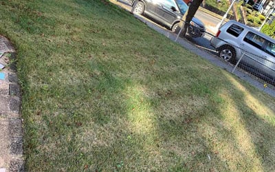 Photo of Ron B.'s yard after getting landscaping in Solomons, MD