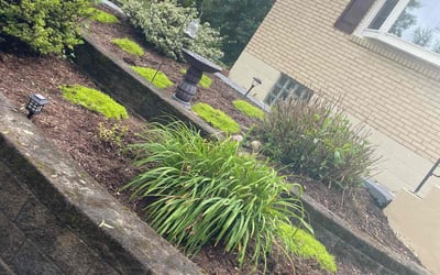 Photo of Lisa B.'s yard after getting landscaping in Canonsburg, PA