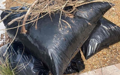 Photo of Gina B.'s yard after getting tree care in Brandon, FL