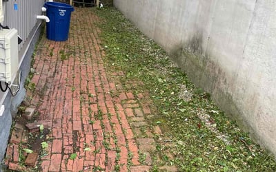 Photo of Dakota G.'s yard after getting tree care in Pittsburgh, PA