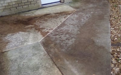 Photo of Amy C.'s yard after getting landscaping in Pipe Creek, TX