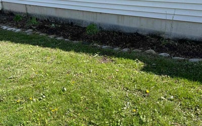 Photo of Brian S.'s yard after getting landscaping in Oswego, IL