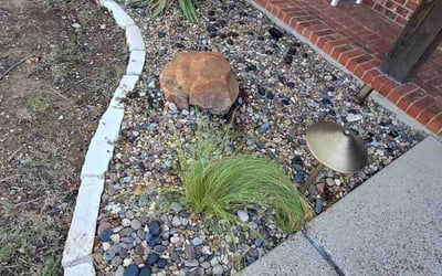 Photo of Butch H.'s yard after getting tree care in The Colony, TX