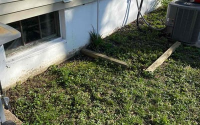 Photo of Micah M.'s yard after getting landscaping in Saint Ann, MO