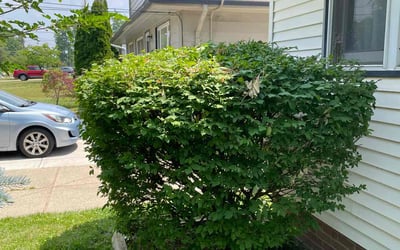 Photo of Brent H.'s yard after getting lawn care in Madison, OH