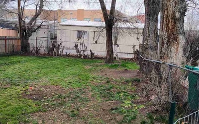 Photo of Susan B.'s yard after getting landscaping in Farmington, UT