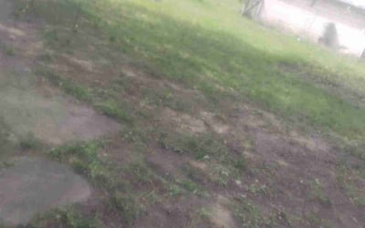 Photo of John F.'s yard after getting landscaping in Spokane, WA