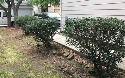 Photo of Vicci R.'s yard after getting landscaping in Anahuac, TX