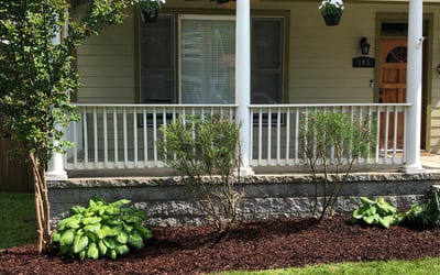 Photo of Amy A.'s yard after getting tree care in Murfreesboro, TN