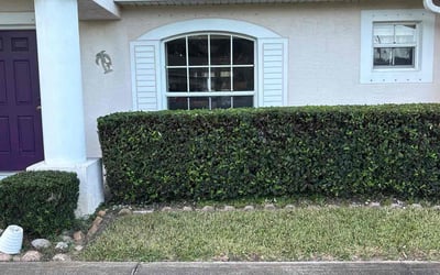 Photo of Gary W.'s yard after getting tree care in Naples, FL