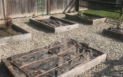 Photo of Alex B.'s yard after getting landscaping in Redding, CT