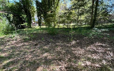 Photo of Paul H.'s yard after getting landscaping in Statesville, NC