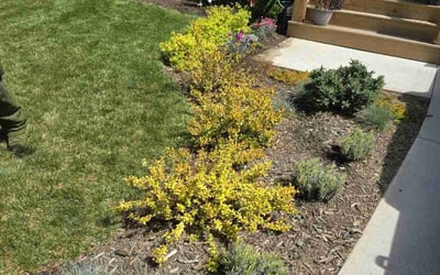 Photo of Nicole U.'s yard after getting landscaping in Weaverville, NC