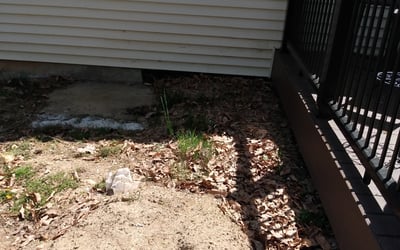 Photo of Stephanie D.'s yard after getting landscaping in Finksburg, MD