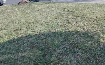 Photo of Christopher G.'s yard after getting landscaping in Kearneysville, WV