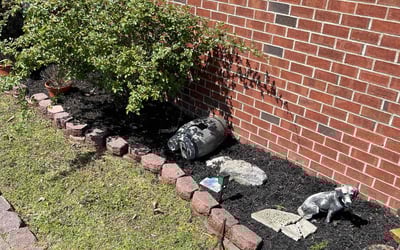 Photo of Jimmy S.'s yard after getting landscaping in Portland, TN