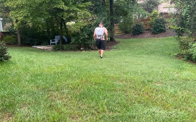 Photo of Marsha L.'s yard after getting tree care in Selma, NC
