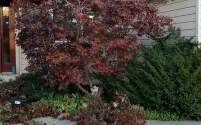 Photo of Rose C.'s yard after getting landscaping in Veradale, WA