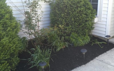 Photo of Michelle M.'s yard after getting landscaping in Pendleton, IN