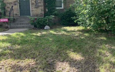 Photo of Sarah M.'s yard after getting landscaping in Marine On Saint Croix, MN