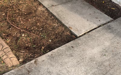 Photo of Tiffany O.'s yard after getting landscaping in Istachatta, FL