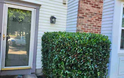 Photo of Vicki-Lynn H.'s yard after getting tree care in Ashburn, VA