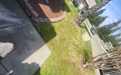Photo of Arlene B.'s yard after getting landscaping in Orangevale, CA