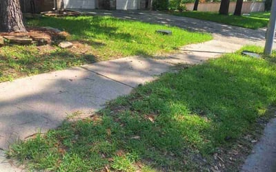 Photo of Patrick D.'s yard after getting landscaping in Romayor, TX