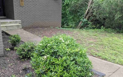 Photo of Adam G.'s yard after getting landscaping in Nashville, TN