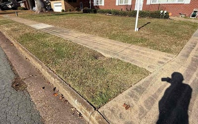 Photo of Deborah M.'s yard after getting landscaping in Susan, VA