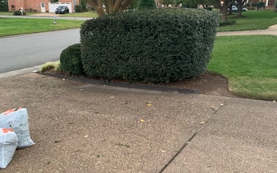 Photo of Chris S.'s yard after getting landscaping in Corapeake, NC