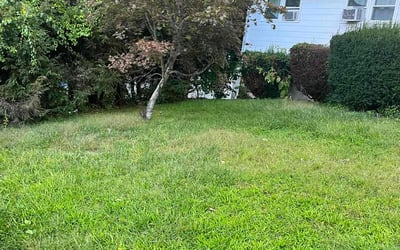 Photo of Toni P.'s yard after getting landscaping in Madison, CT