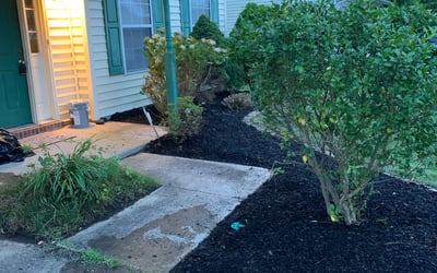 Photo of Jonathan M.'s yard after getting landscaping in Schley, VA