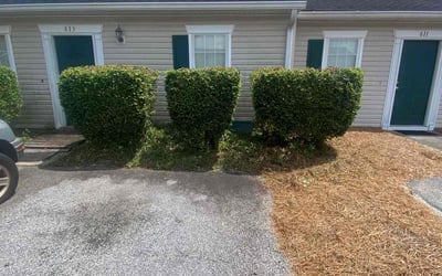 Photo of Joshua C.'s yard after getting landscaping in Evans, GA
