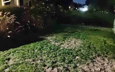 Photo of John P.'s yard after getting landscaping in Morgan Hill, CA