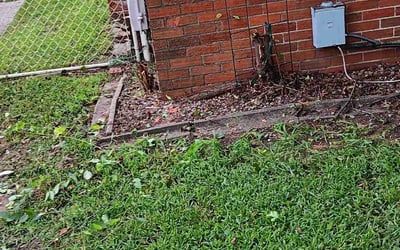 Photo of Kira B.'s yard after getting landscaping in Waterford, MI